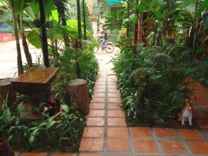 Ladybug Guesthouse Siem Reap Exterior foto